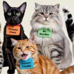 Funny Cat Names: Creative and Hilarious Ideas for Your Feline Friend Funny Cat Names